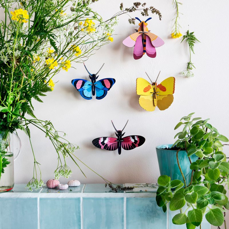 kit ensemble papillons et scarabées - idees_en_kit_et_en_vrac